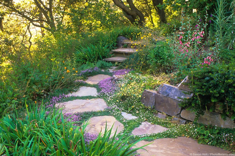 Giardino in pendenza con piante perenni da roccia - vialetto in pietre di grandi dimensioni