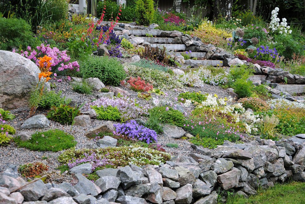 Idee giardino roccioso - un paesaggio montano con saliscendi e sentieri in pendenza - fiori alpine molto colorate