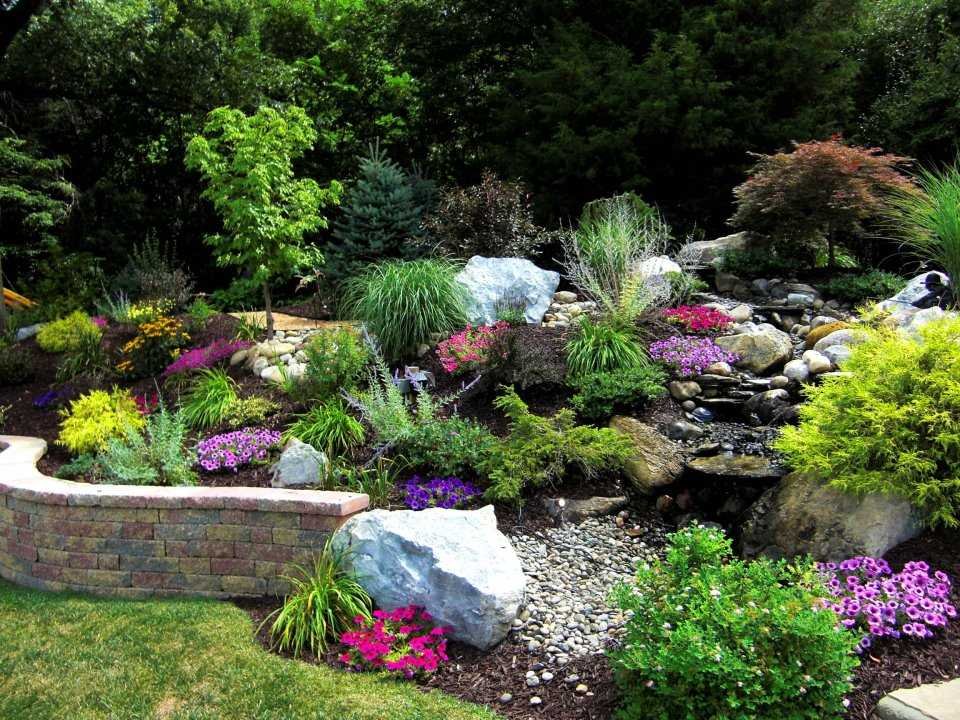 Una stupenda aiuola nel giardino roccioso con sentieri di pietre naturali e coloratissime fiori alpine