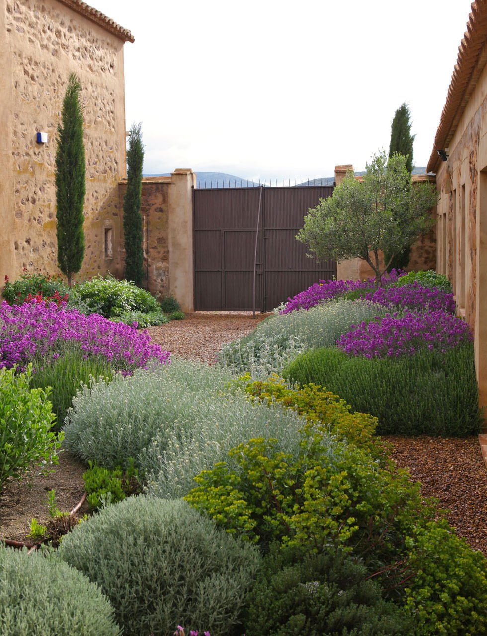 Antico casale in campagna con cipressi, cespugli di piante mediterranee e ulivi per creare un giardino rustico provenzale - Idee per progettare giardini rustici
