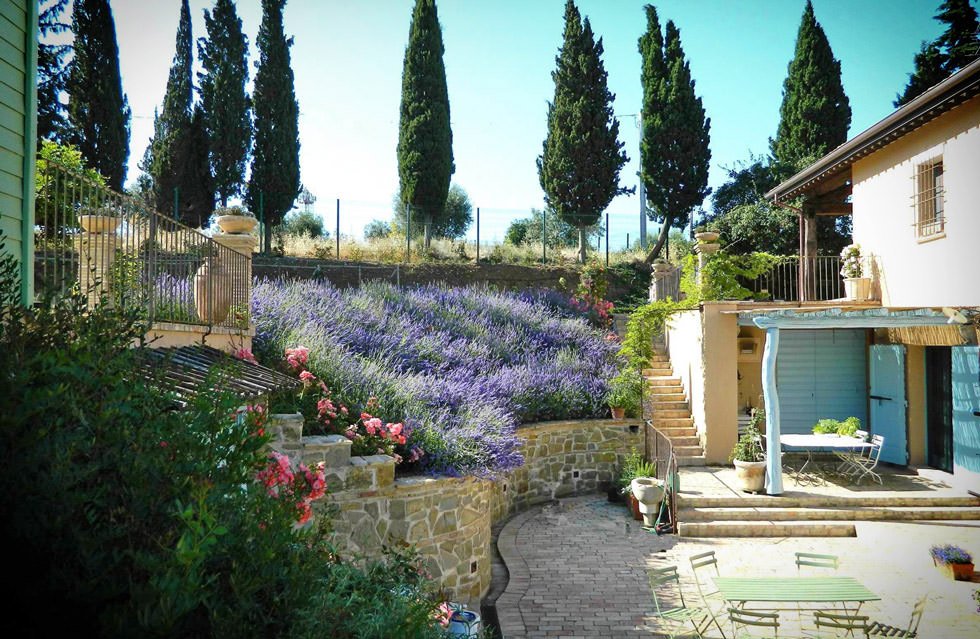 Idee giardino rustico con dislivello e utilizzo dei terrazzamenti - piante di lavanda e rose selvatiche