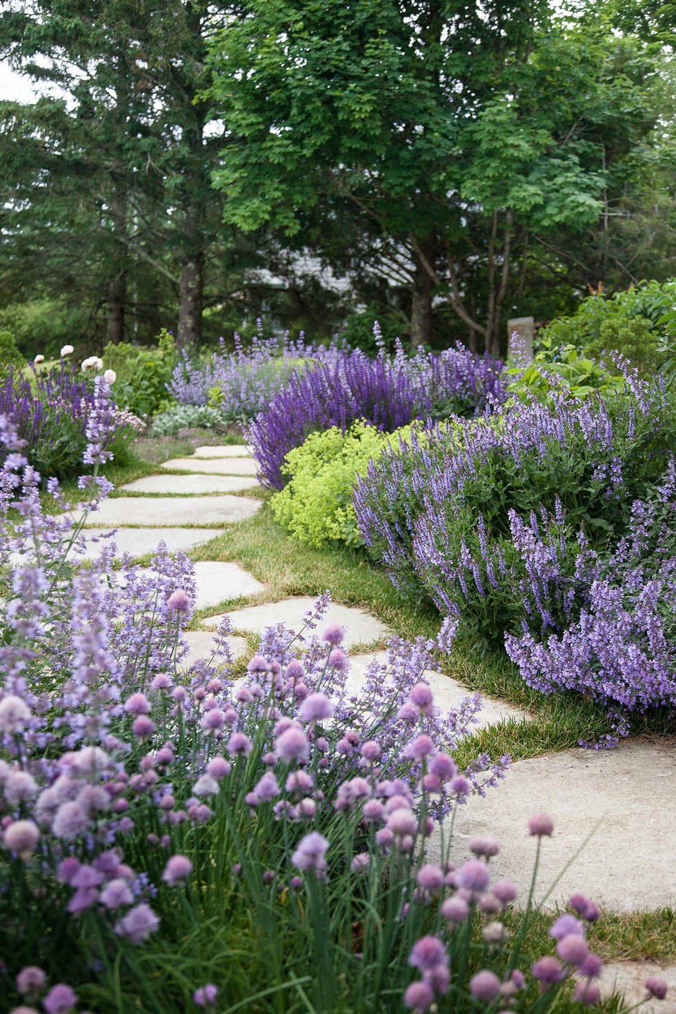 Bellissimo vialetto realizzato con pietre irregolari in giardino rustico - piante di lavanda, selvatiche e aromatiche